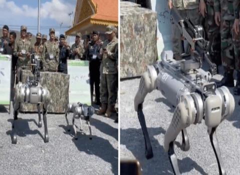 سگ رباتیک نیروی نظامی چین شد